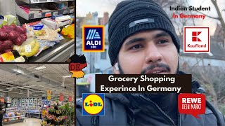 Experiencing Grocery Shopping In Germany 2023 Prices amp Tips For Indian Student In Germany Vlog 11 [upl. by Appledorf]