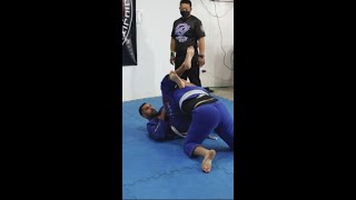 Luta de Jiu JItsu A técnica imbatível da faixa branca o triângulo no jiu jitsu jiujtsu combatsport [upl. by Litch647]