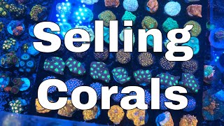 Do You Really Want To Sell Corals [upl. by Eidda]