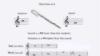 Introduction to Instrumental Transposition [upl. by Ardnuaek]