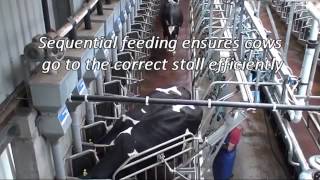 Fullwood Swingover Milking Parlour [upl. by Nelram]