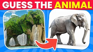 Guess the Hidden Animal by Optical ILLUSION🐘🐵 Guess the Animal Quiz [upl. by Yuht5]