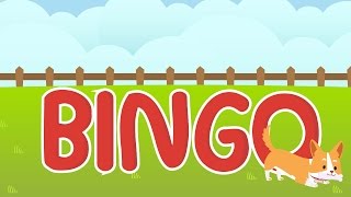 Bingo Dog Song • Educational Nursery Rhymes Song with Lyrics • Animated Animal Cartoon for Kids [upl. by Hare]