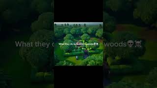 What they do to wailing woods ☠️💀fortnite [upl. by Aiynot]