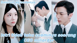 Dia ternyata adalah seorang CEO miliarder dan mereka memiliki hubungan yang penuh gairahKorean [upl. by Hsivat]