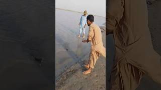 Fish catching  khalid g Khan [upl. by Nnyledam]