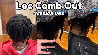 How to Comb Out Locs  Session One [upl. by Redleh168]