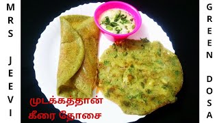 Mudakathan Keerai Dosa  Mudakathan Keerai Adai in Tamil  Green Dosa [upl. by Jovita]