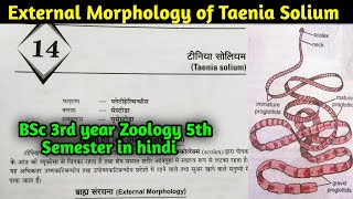 External Morphology of Taenia Solium in hindi  BSc 3rd year Zoology 5th Semester first paper [upl. by Hannaj]