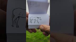 Blue the Horse’s Tranquil Walk 🐎  flipbook [upl. by Anirok4]