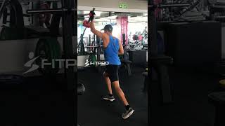 Functional Back Muscle Workout  The Fit Pro [upl. by Kale]