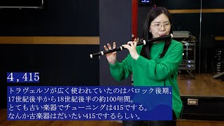 【古楽器】フラウト・トラヴェルソの人にしか伝わらないあるある [upl. by Ylahtan]