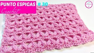 PUNTO CROCHET ESPIGAS  30 [upl. by Rora]