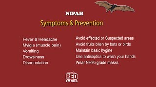 Nipah  Symptoms  Preventive Measures  Red FM Malayalam [upl. by Magda117]