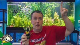 Top 5 Easy Aquarium Plants [upl. by Blanche]