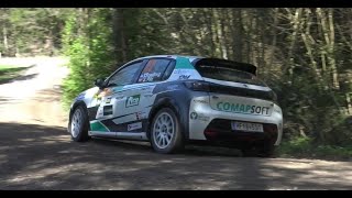 Lavanttal Rallye 2024  Best Of TraußnigPilz  Peugeot 208 Rally4  Stengg Motorsport [upl. by Buller]