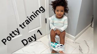 HOW TO POTTY TRAIN A TODDLER  DAY 1 vlog [upl. by Henriha]