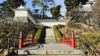 朝の小田原 駅前と城の散歩 Odahara station in Kanagawa Silent walk around RelaxSleepiphone [upl. by Aihsak]