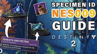 How to Complete Failsafe SPECIMEN ID NES009 Complete Guide  FAST amp EASY ► Destiny 2 [upl. by Jeavons]