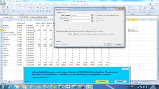 Examens MOS Excel 2010 Expert Question 4 [upl. by Urba519]