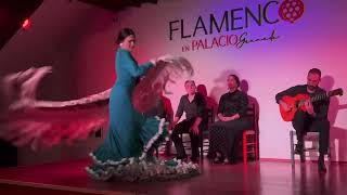 Palacio Flamenco Granada [upl. by Lorenz]