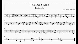 The Swan Lake El Lago de los Cisnes arr for Cello Solo [upl. by Bowrah]