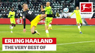 Erling Haaland  The Best Skills amp Goals [upl. by Vinnie]