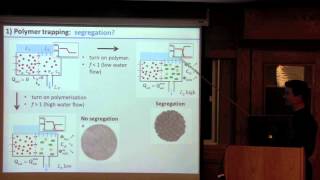 Up down and broken models of transport processes in xylem and phloem [upl. by Bohaty782]