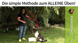 Hundeerziehung ➡️ Die simple Methode zum ALLEINE Üben ➡️ Praxisvideo ✔️ [upl. by Doretta]