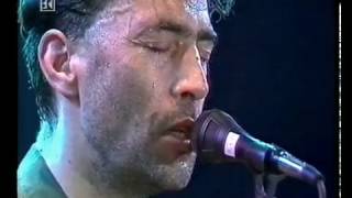 Wieder hoam  Hubert von Goisern live 1994 [upl. by Hazeghi]