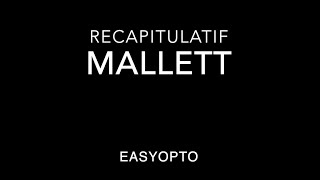 Analyse de la vision  Récapitulatif  MALLETT [upl. by Nohsauq]