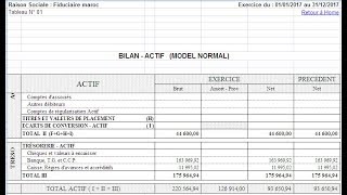 logiciel pour les états de synthèses gratuits au Maroc [upl. by Nivloc546]