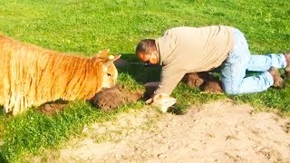 Ozzy Man Reviews Alpaca in a Hole [upl. by Aciretnahs983]