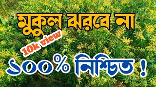 আমের মুকুল ঝরবে নাঘরোয়া উপায়ে বাজিমাতহবে না ফাঙ্গাসের আক্রমণ l [upl. by Assyl]