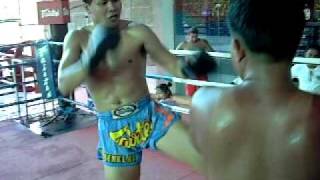 Yodsanklai Fairtex on pads [upl. by Auqinimod]