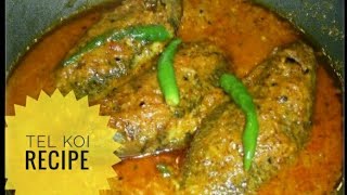 Tel Koi Recipe  Most famous traditional Bengali fish curry [upl. by Nedlog]