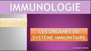 IMMUNOLOGIE 3 TUTO 2 Les organes du système immunitaire [upl. by Saxe]