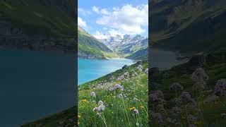 Швейцария Вале 🇨🇭 Switzerland Valais short nature mountains цветы горы journey swisslake [upl. by Ahsasal303]