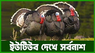 টার্কি পালনে মাথায় হাত  Agro News Bangla [upl. by Chaney]