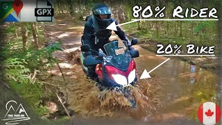 VStrom 650 OffRoad Capabilities  Stock vs Off Road Modified  S3 E10  4K [upl. by Nnaeed]