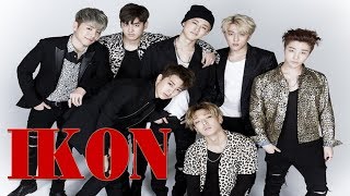 iKON Members Profile  iKON Introduction [upl. by Wootan]