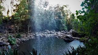 Springbrook National Park  Purling Brook amp Twin Falls Circuits [upl. by Ardnnek979]