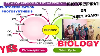 PHOTORESPIRATION PHOTOSYNTHESISNEETBOARDBIOLOGYMOST IMPORTANTAB ALL IS WELL [upl. by Nyleve]