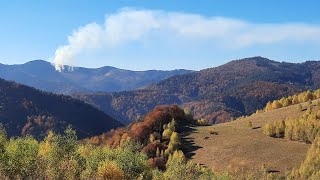 Poiana Marului culori de toamna si adrenalina [upl. by Ijok]