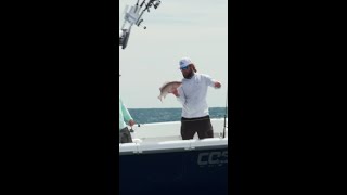 Snapper Fishing Tips [upl. by Biddie227]