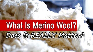 What Is Merino Wool Is It REALLY Better Than Regular Wool [upl. by Shepperd]