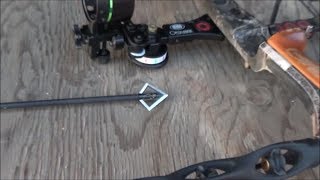 Magnus Black Hornet Broadhead Durability Test 2 [upl. by Calen]