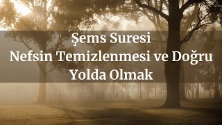 Şems Suresi  Nefsin Temizlenmesi ve Doğru Yolda Olmak [upl. by Fernand]