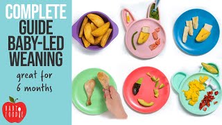 Complete Guide to BabyLed Weaning [upl. by Ahseekal970]