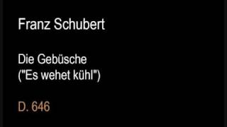 Schubert D646 Die Gebüsche Es wehet kühlwmv [upl. by Corydon]